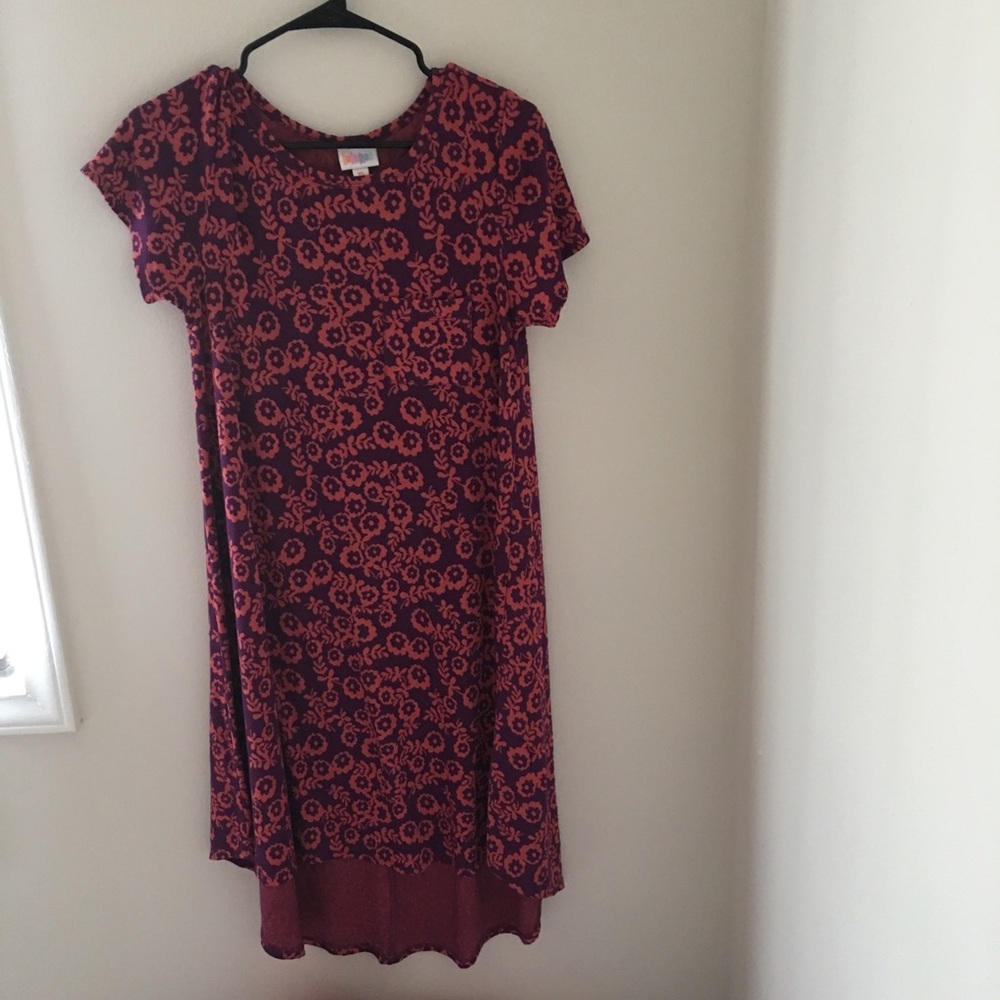 LuLaRoe Carly swing dress